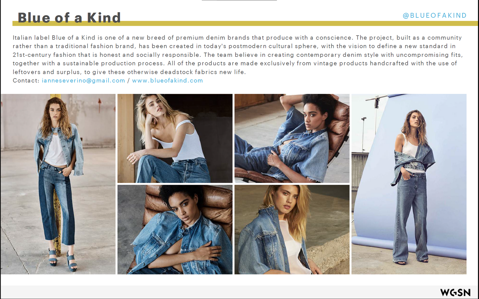 WGSN - Brands to Watch