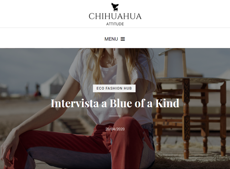 chihuahua attitude - Intervista a Blue of a Kind
